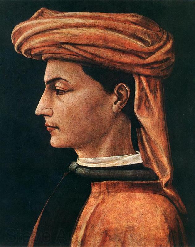 UCCELLO, Paolo Portrait of a Young Man wt Norge oil painting art